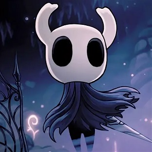 Hollow Knight